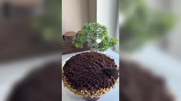 Торт из двух яиц от Фирузы Пашаевой