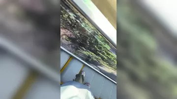 Дорога в небо: в Китае показали необычную смотровую площадку