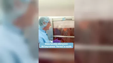 Niderlandda dünyanın ilk heyvansız "ferma"sı açılıb