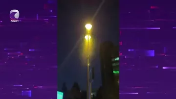 Bakıda uçan qarışqalar niiyə çoxalıb?