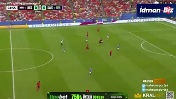 Нидерланды 1-0 Швеция