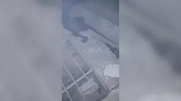 Землетрясение в Венесуэле: трое детей выжили после обрушения жилого дома