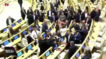 В парламенте Грузии произошла драка