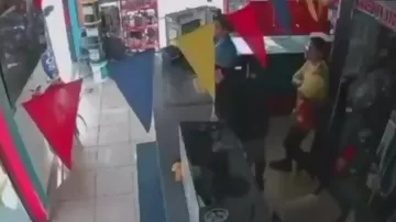 Пес запрыгнул на прилавок, празднуя гол Эквадора Германии