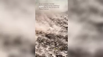 Массовый забег лошадей в Китае