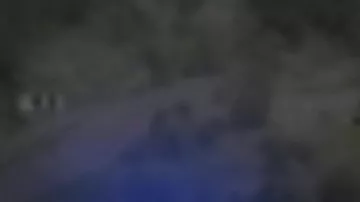 Qaxda çətənə kolu yetişdirən şəxs saxlanılıb