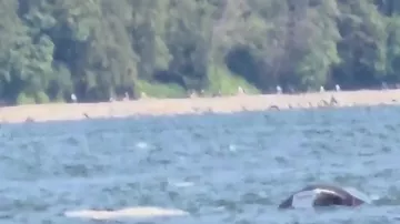 В Канаде затонула лодка с туристами