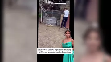 Münəvvər Əliyeva bir müddət əvvəl itirdiyi sevimli iti Neoma qovuşub