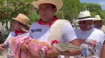 Meksikada şəhər meri timsahla "nişanlandı"