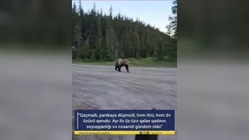 Ayı ilə qadının mübarizəsi