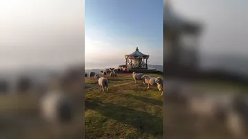 Провинция Чианг Рай в Таиланде