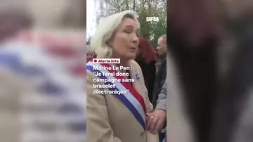 Ле Пен примет участие в выборах президента Франции