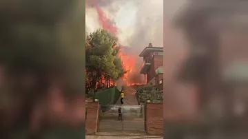Испания во власти лесных пожаров - 2
