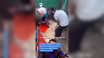 Erməni milyarderin evindən çıxanlar