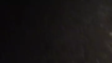 İsmayıllıda maşın ayını vurdu