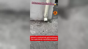 Bakının mərkəzində ilan