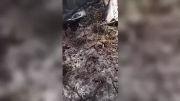 Пассажирский самолёт разбился на Багамах