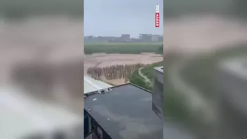 В Китае тысяча змей оказалась на воле