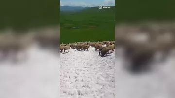 Laçında təbiətin möcüzəsi: Buzlaqlar yaşıl otlaqlarla qovuşdu