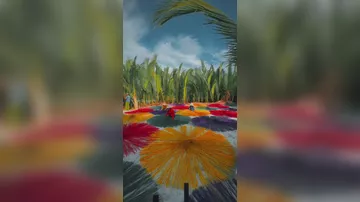 Завораживающая съёмка при помощи дрона