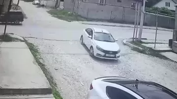Лошадь снесла мотоциклиста в Дагестане