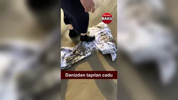Dənizdən tapılan cadu