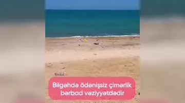 Bilgəhdə yerləşən ödənişsiz çimərlikdə antisanitar vəziyyət müşahidə olunur