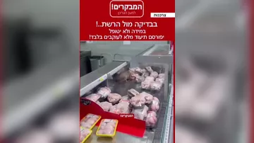 İsraildə supermarketdə QALMAQAL: Pişik soyuducudakı toyuğu yeyir