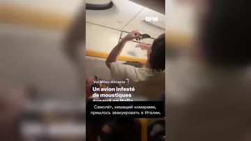 Рой комаров сорвал вылет самолета Ryanair в Италии