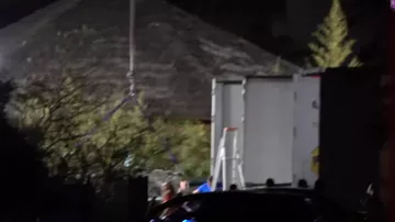 Fransadakı parkdan İspaniyaya 8 delfinin köçürülməsi
