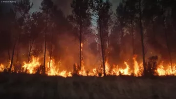 Во Франции при пожарах пострадали 90 спасателей