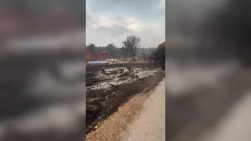 Пожары во Франции обернулись громким скандалом