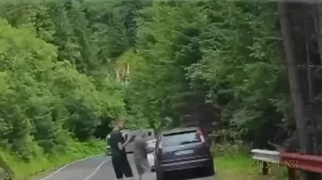 Турист увлекся телефоном и не заметил подошедшего медведя