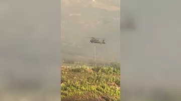 Türkiyədə meşə yanğınları davam edir