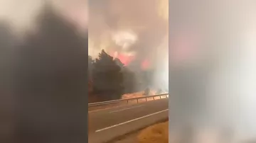 В испанской Андалусии из-за лесного пожара эвакуировали более 470 человек - 4