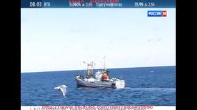 Крушение траулера «Дальний Восток» в Охотском море : Более 50 человек погибли