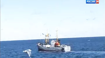Крушение траулера «Дальний Восток» в Охотском море : Более 50 человек погибли