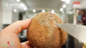 Как открыть кокос в домашних условиях - видео: правильно выбрать и расколоть кокос просто