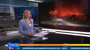 В Хорватии не могут остановить сильнейший лесной пожар