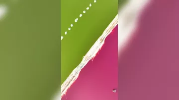 Это озеро поражает необычными красками