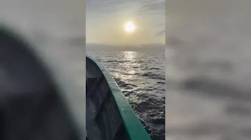 Meksikada açıq dənizdə azmış iti xilas edilib