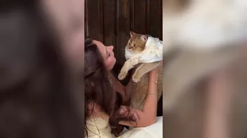 Блогер chabnamme поделилась милым видео с котом
