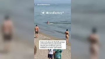 В Марбелье огромная рыба вызвала панику на пляже
