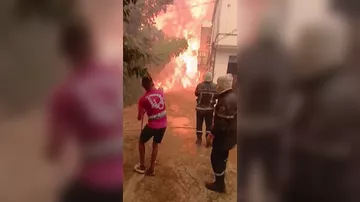 Алжир охватила новая волна масштабных лесных пожаров