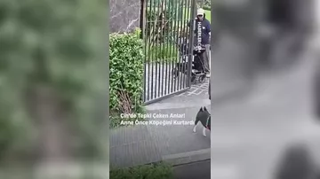 Uşağından öncə itini xilas etdi