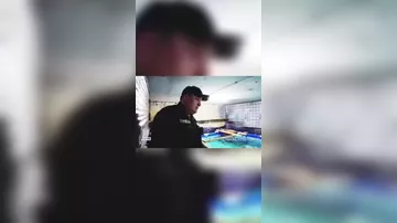 Yaşayış binasının zirzəmisində şok görüntülər: Hovuzun içindən köpəkbalıqları çıxdı