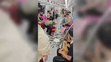 Инцидент со змеями в метро Пекина
