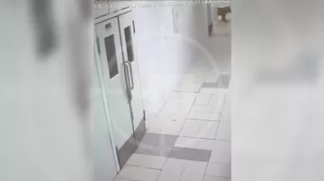 Медведь пробрался в пятизвездочный отель в Сочи