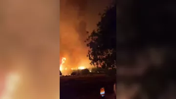 В Анталье бушуют лесные пожары