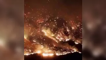 В Анталье до сих пор бушуют лесные пожары2